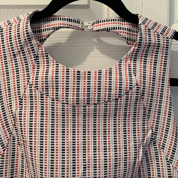 Red, White, and Blue Sleeveless Fitted Shift Dress - Picture 6 of 7